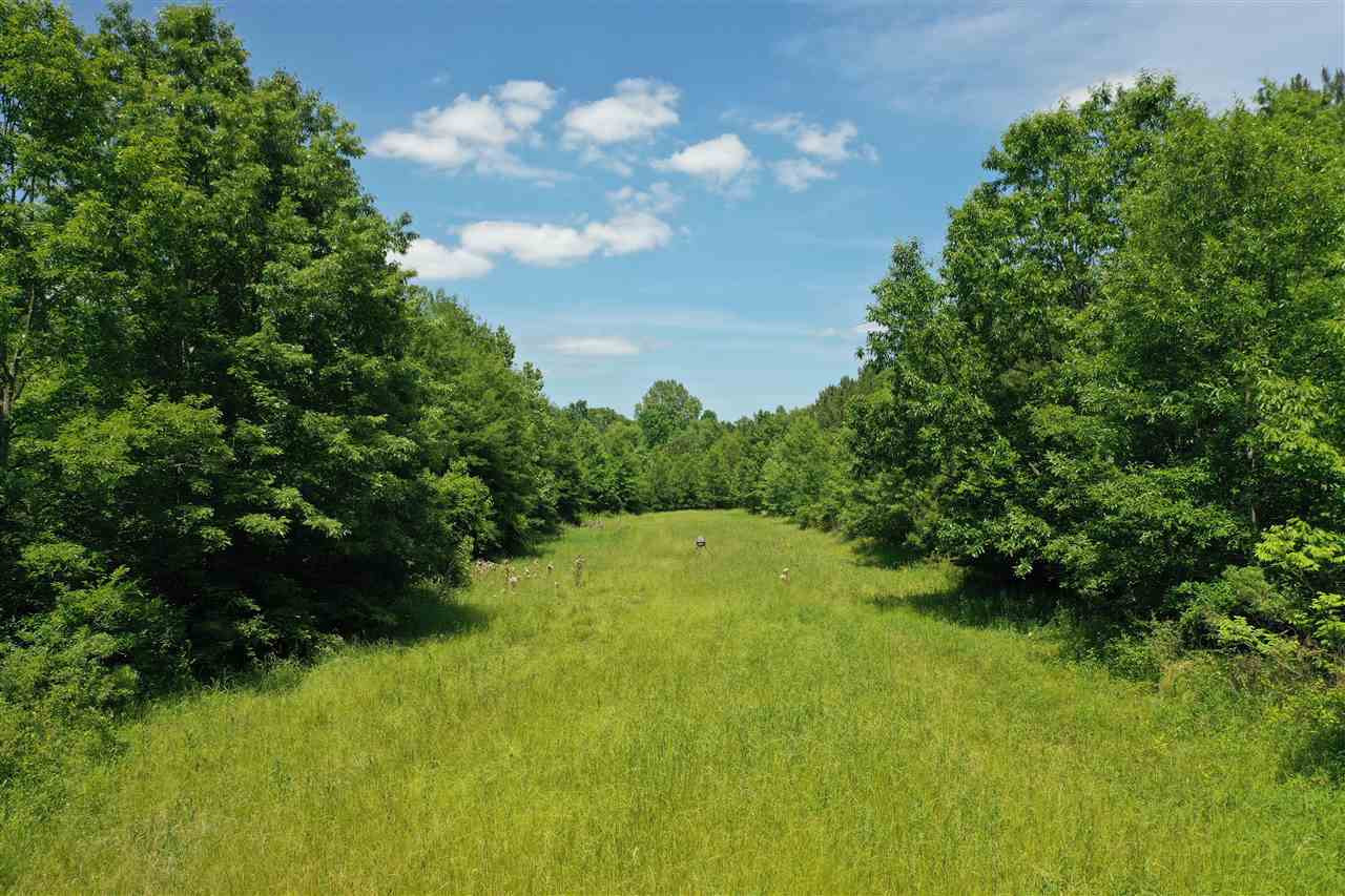 0 Mcguffee Road Clinton, MS 39056 - Photo 17 of 34 Photo 18