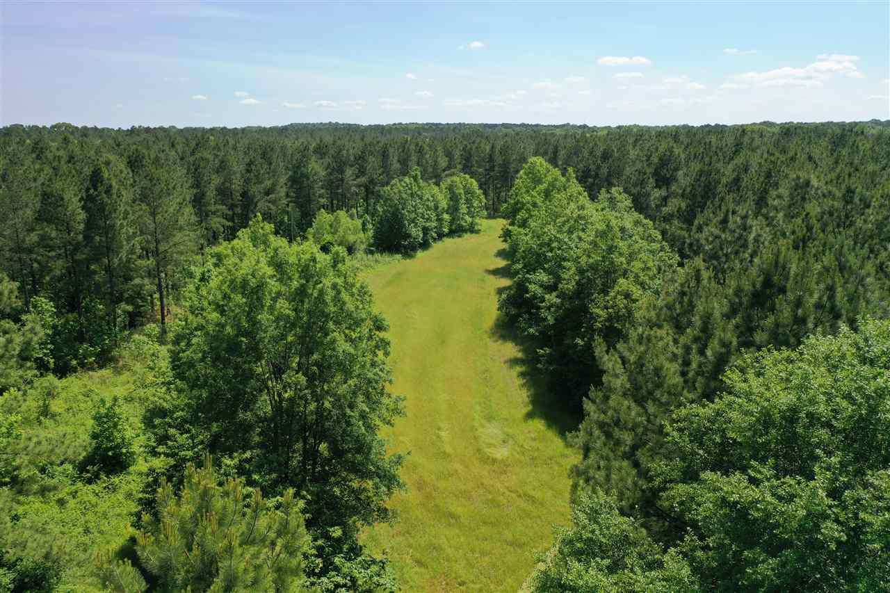 0 Mcguffee Road Clinton, MS 39056 - Photo 19 of 34 Photo 20