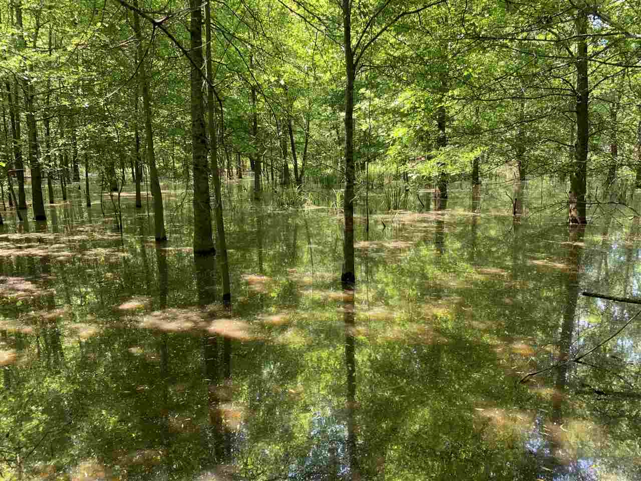0 Mcguffee Road Clinton, MS 39056 - Photo 21 of 34 Photo 22