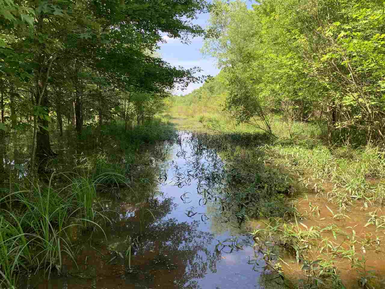 0 Mcguffee Road Clinton, MS 39056 - Photo 22 of 34 Photo 23