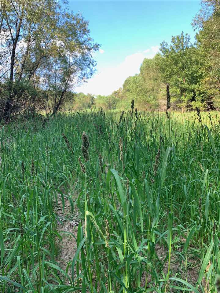 0 Mcguffee Road Clinton, MS 39056 - Photo 25 of 34 Photo 26