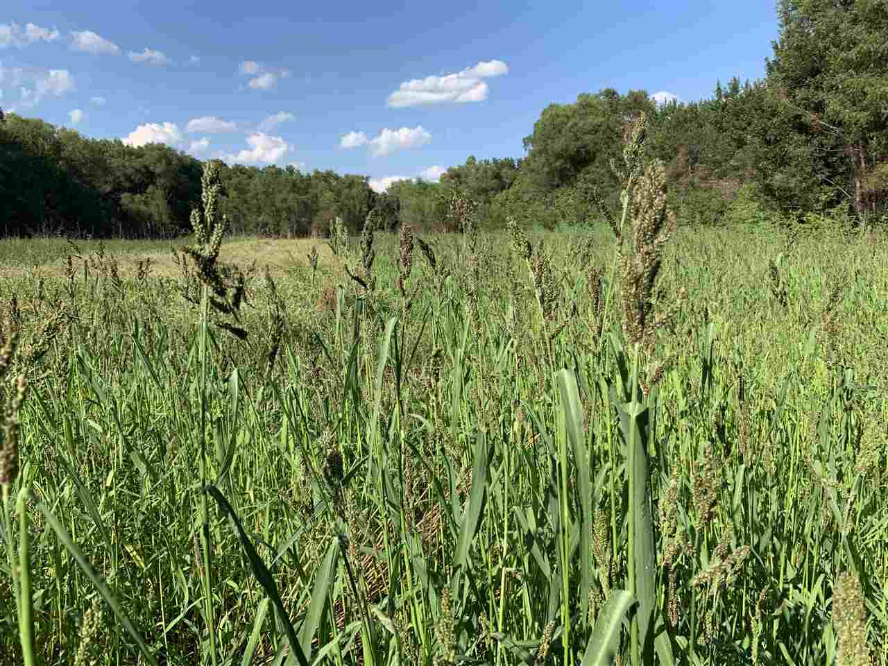 0 Mcguffee Road Clinton, MS 39056 - Photo 29 of 34 Photo 30