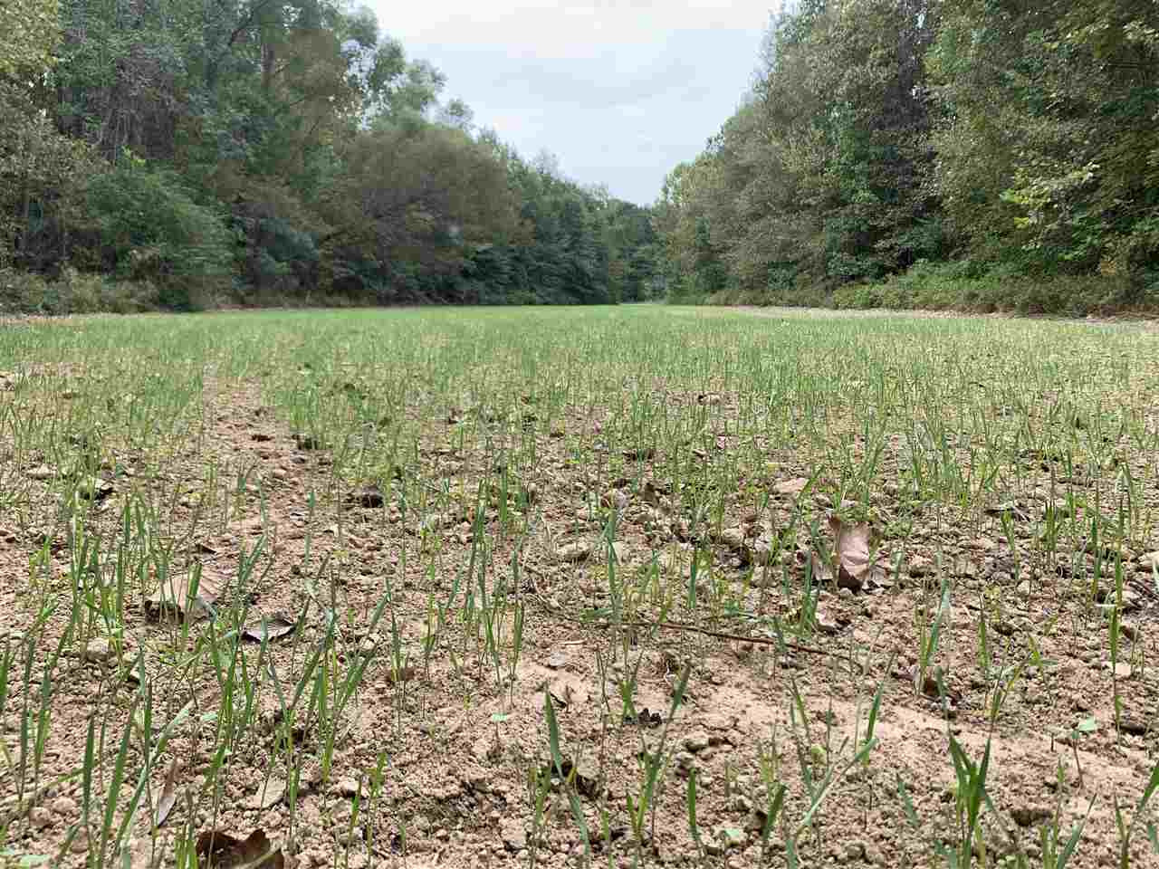 0 Mcguffee Road Clinton, MS 39056 - Photo 30 of 34 Photo 31
