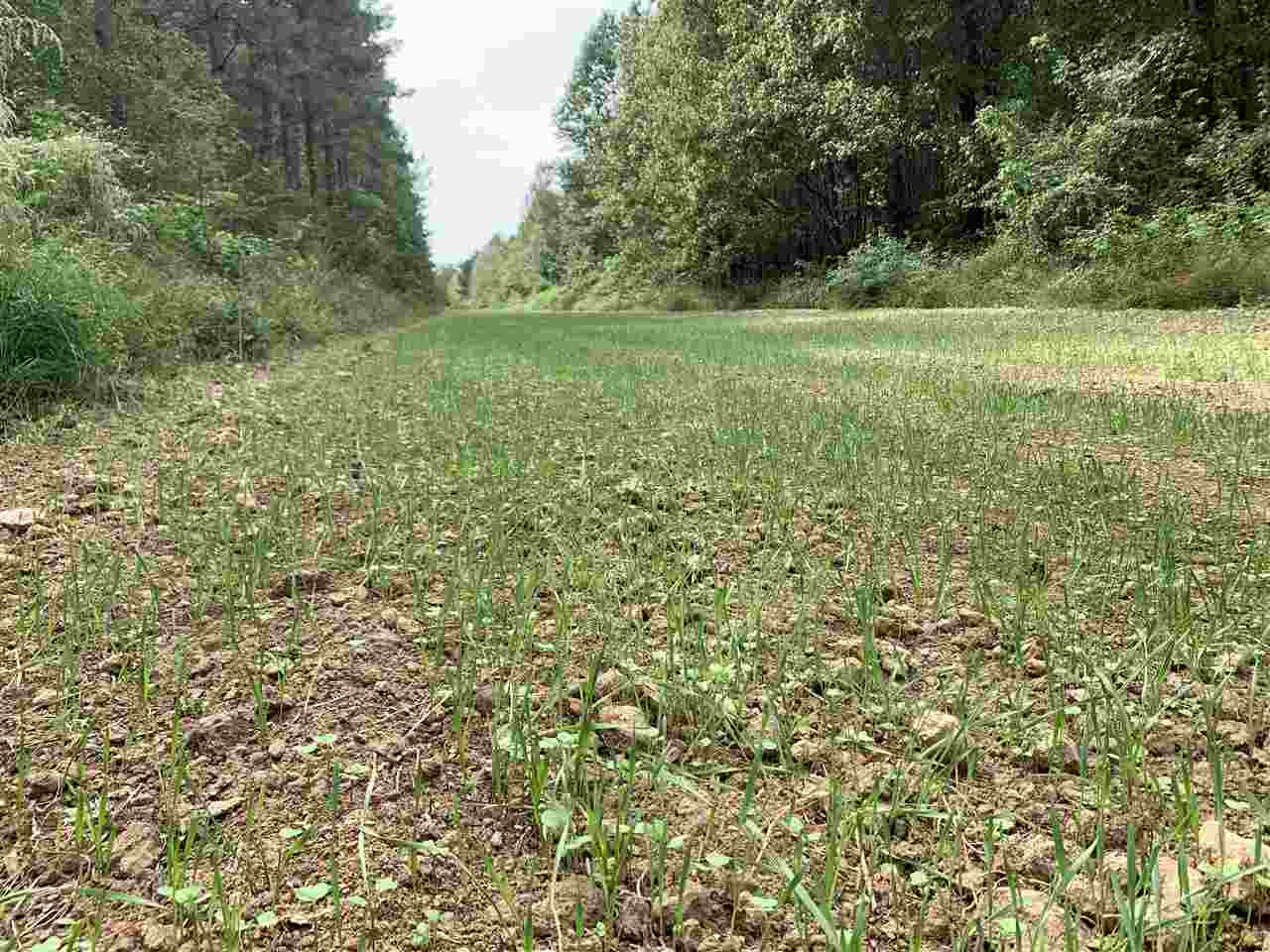 0 Mcguffee Road Clinton, MS 39056 - Photo 31 of 34 Photo 32