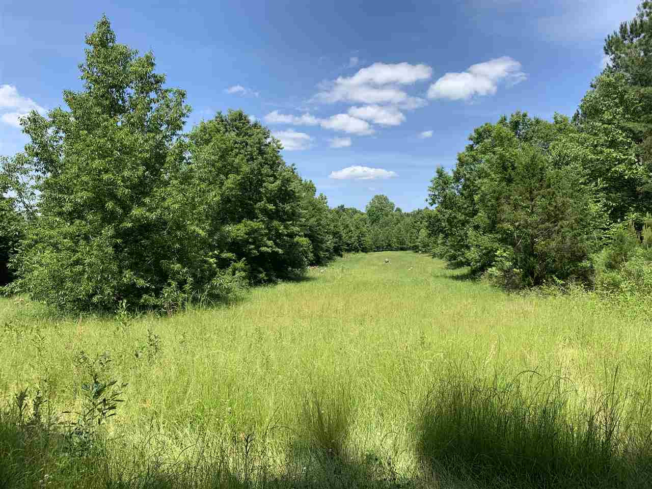 0 Mcguffee Road Clinton, MS 39056 - Photo 5 of 34 Photo 5