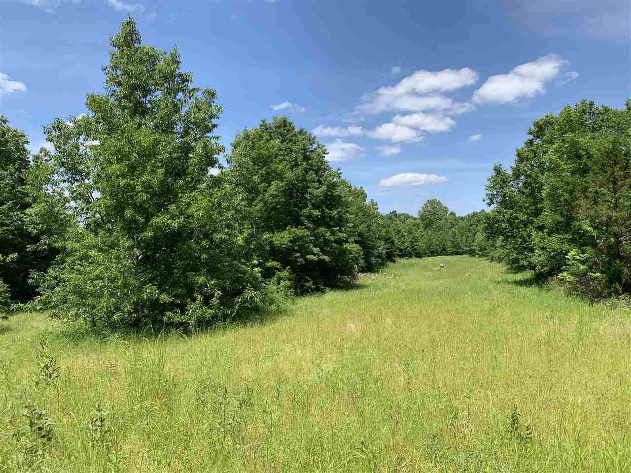 0 Mcguffee Road Clinton, MS 39056 - Photo 6 of 34 Photo 6