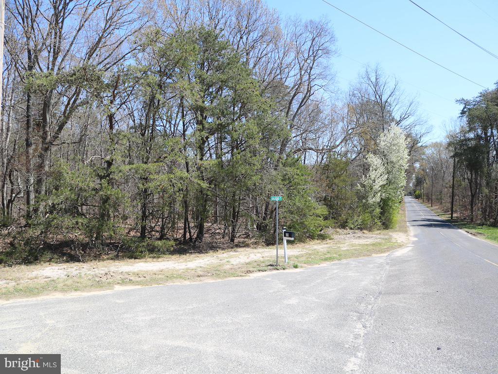 351 Shaws Mill Road Cedarville, NJ 08311 - Photo 72 of 84