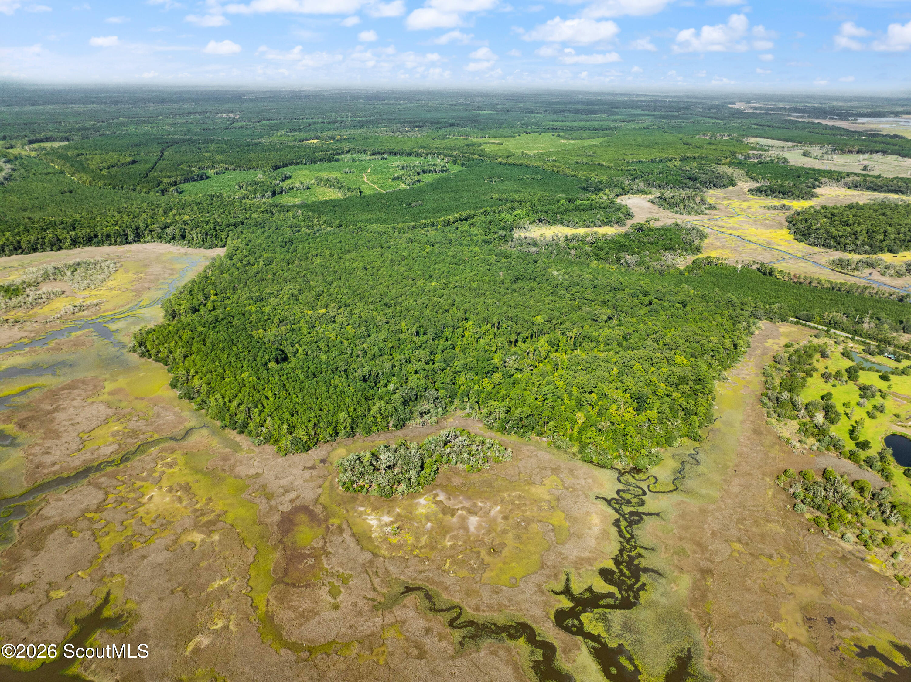 2265 Young Man Road Northeast Townsend, GA 31331 - Photo 10 of 21 DJI_0006