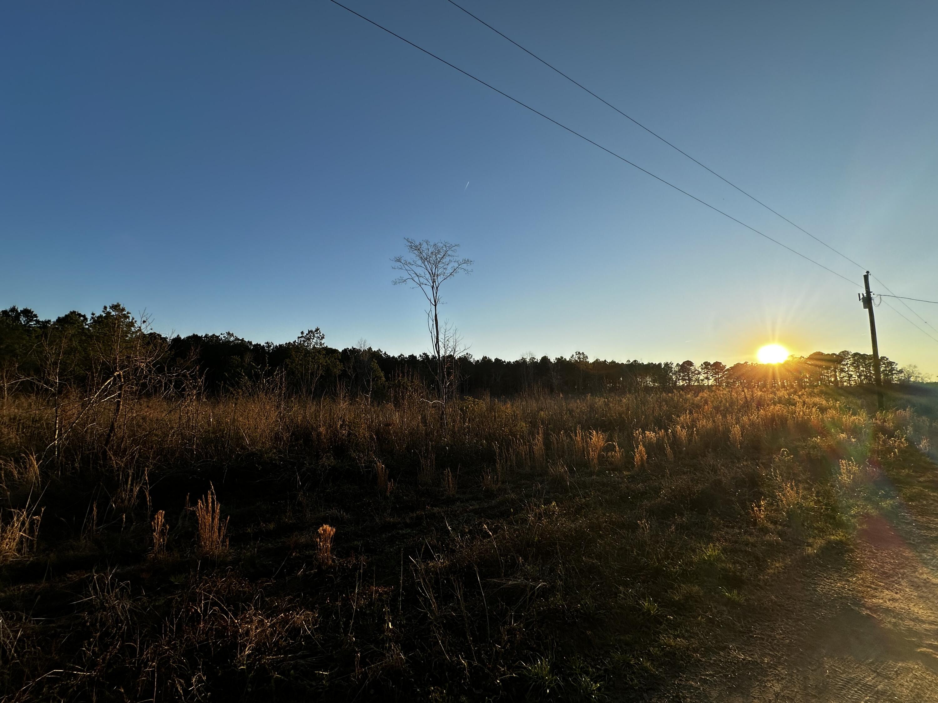 1260 Spring Plains Road Cross, SC 29436 - Photo 12 of 12 IMG_3531
