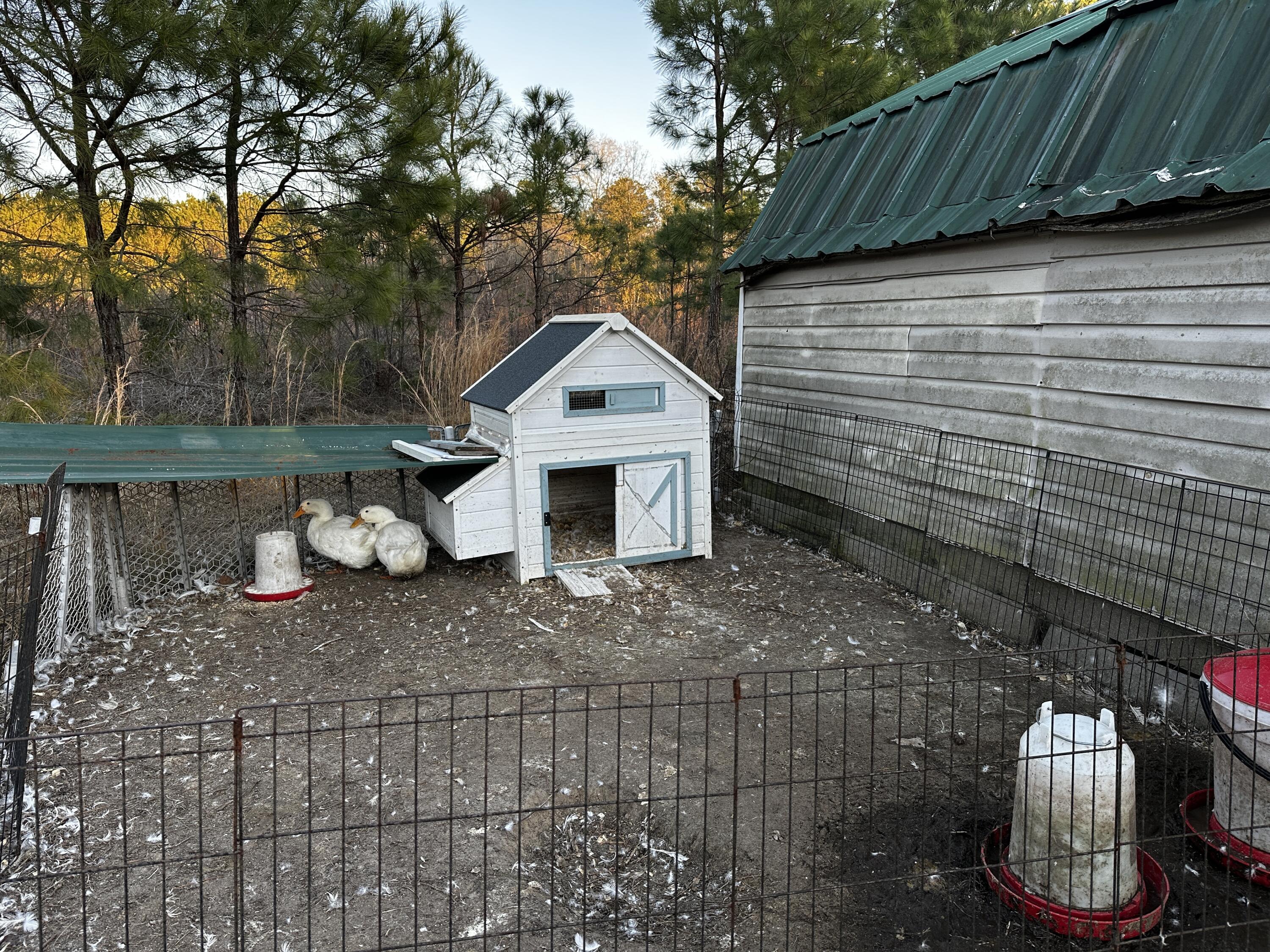 1260 Spring Plains Road Cross, SC 29436 - Photo 6 of 12 IMG_3523