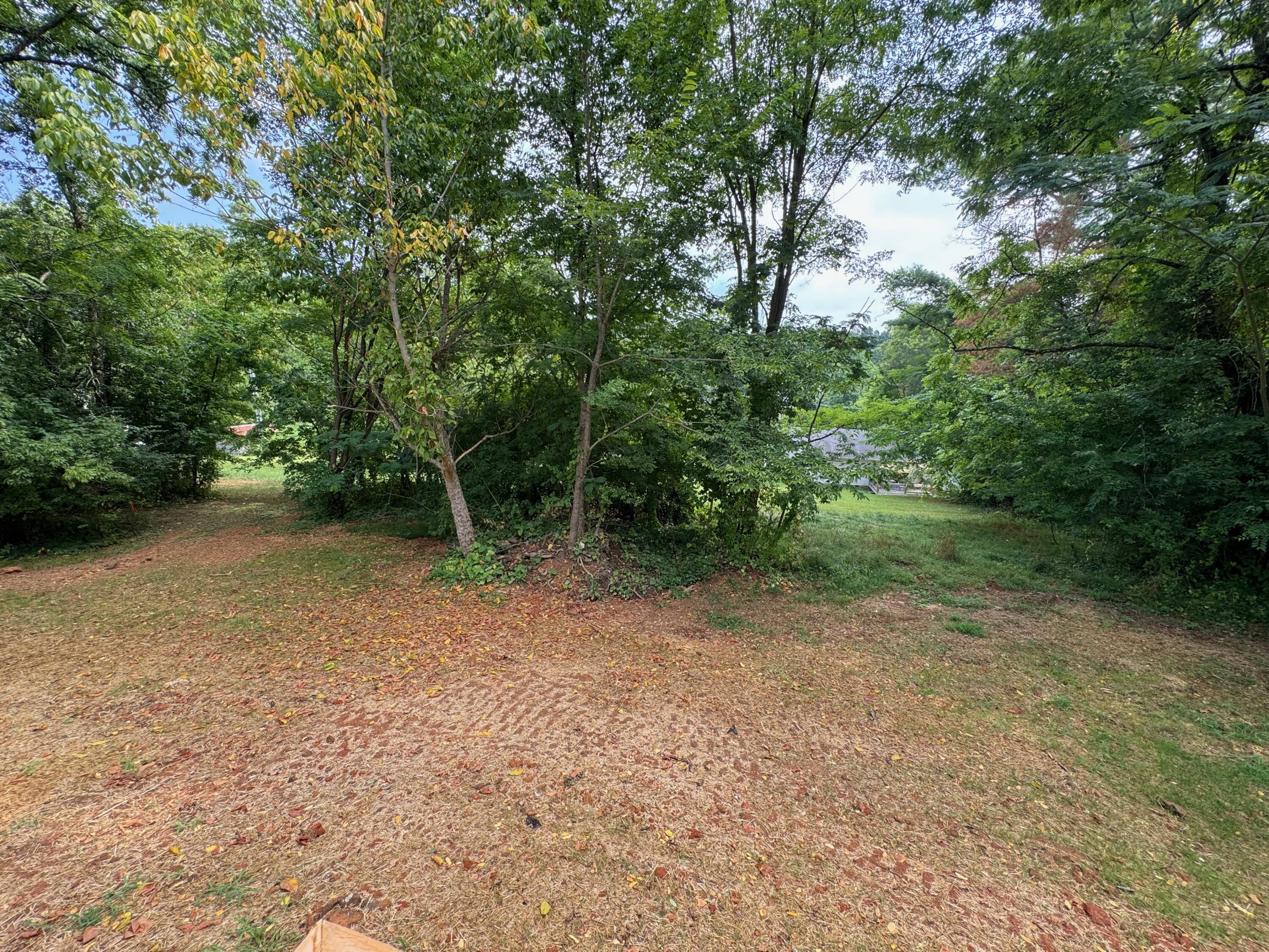 818 Ivory Road Athens, TN 37303 - Photo 26 of 30 IMG_2546