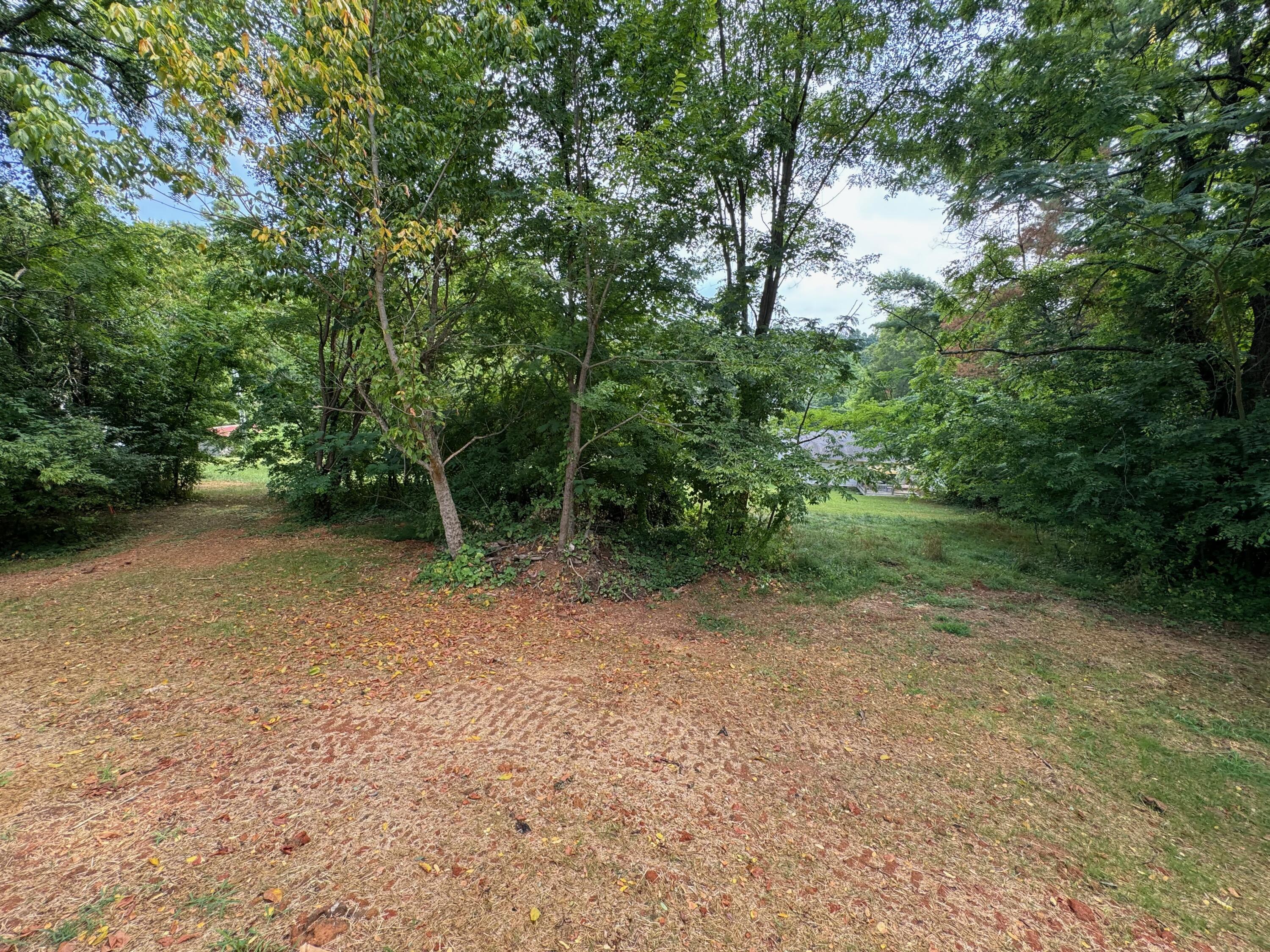 818 Ivory Road Athens, TN 37303 - Photo 27 of 30 IMG_2545