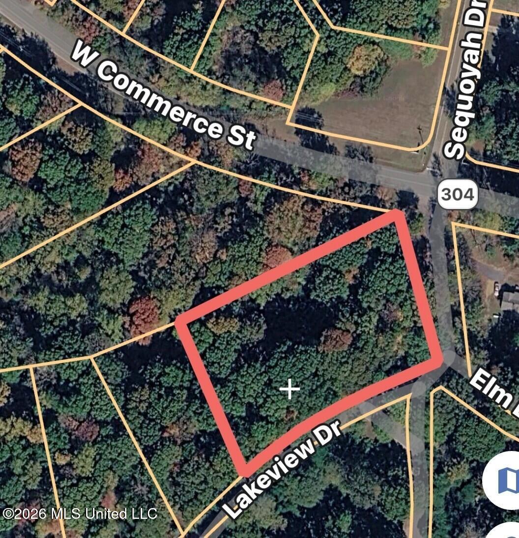 1 Lake View Drive Hernando, MS 38632 - Photo 1 of 2 Aerial View