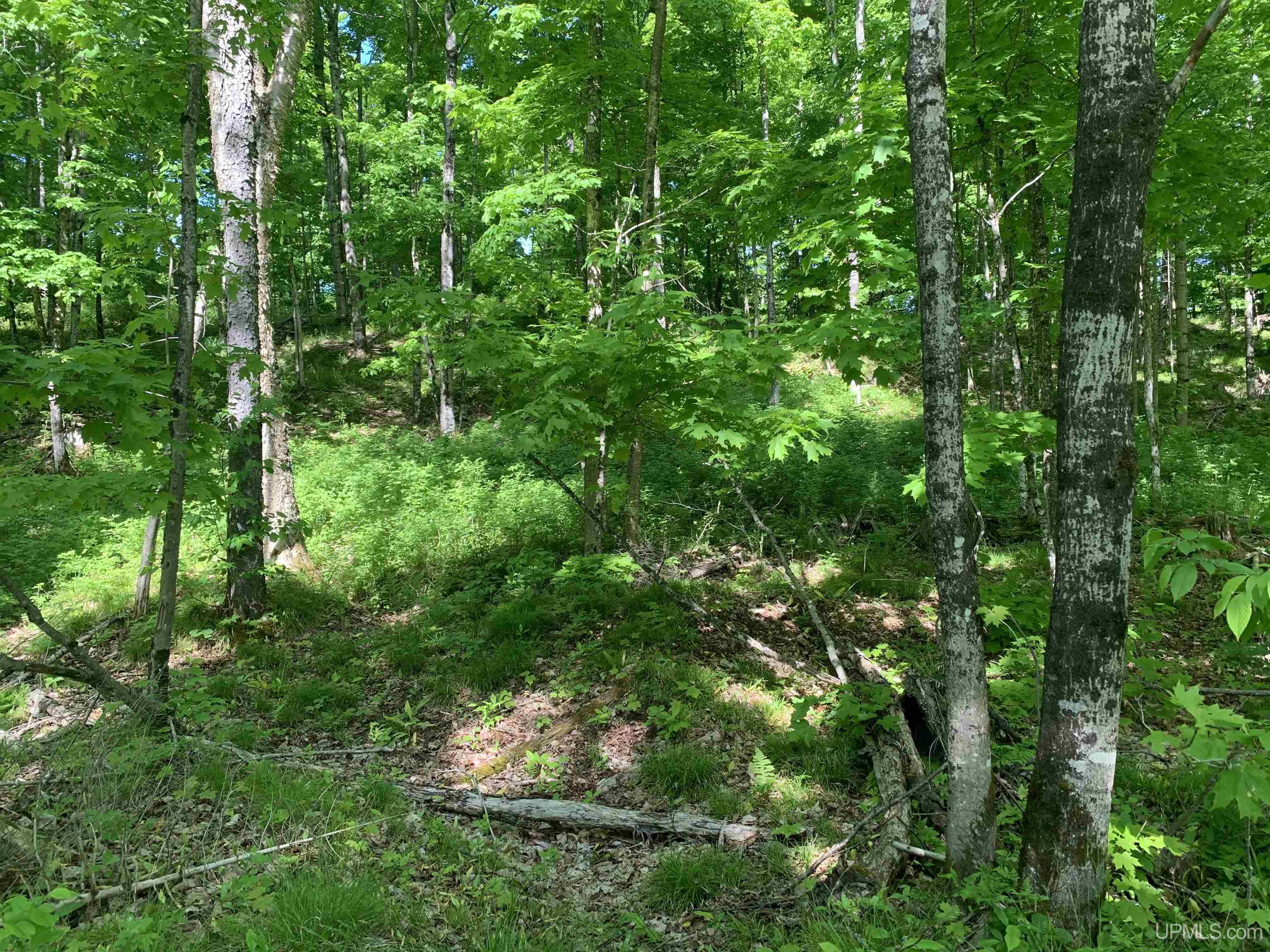 E3985 East 23rd Road Chatham, MI 49816 - Photo 11 of 33