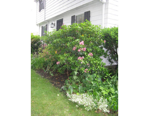 29 Sevinor Road Marblehead, MA 01945 - Photo 15 of 15 a close up of a plant in front of a house
