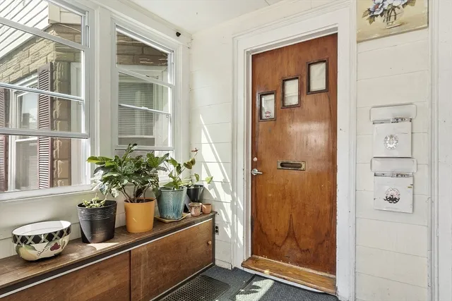 a potted plant sitting on top of a glass door