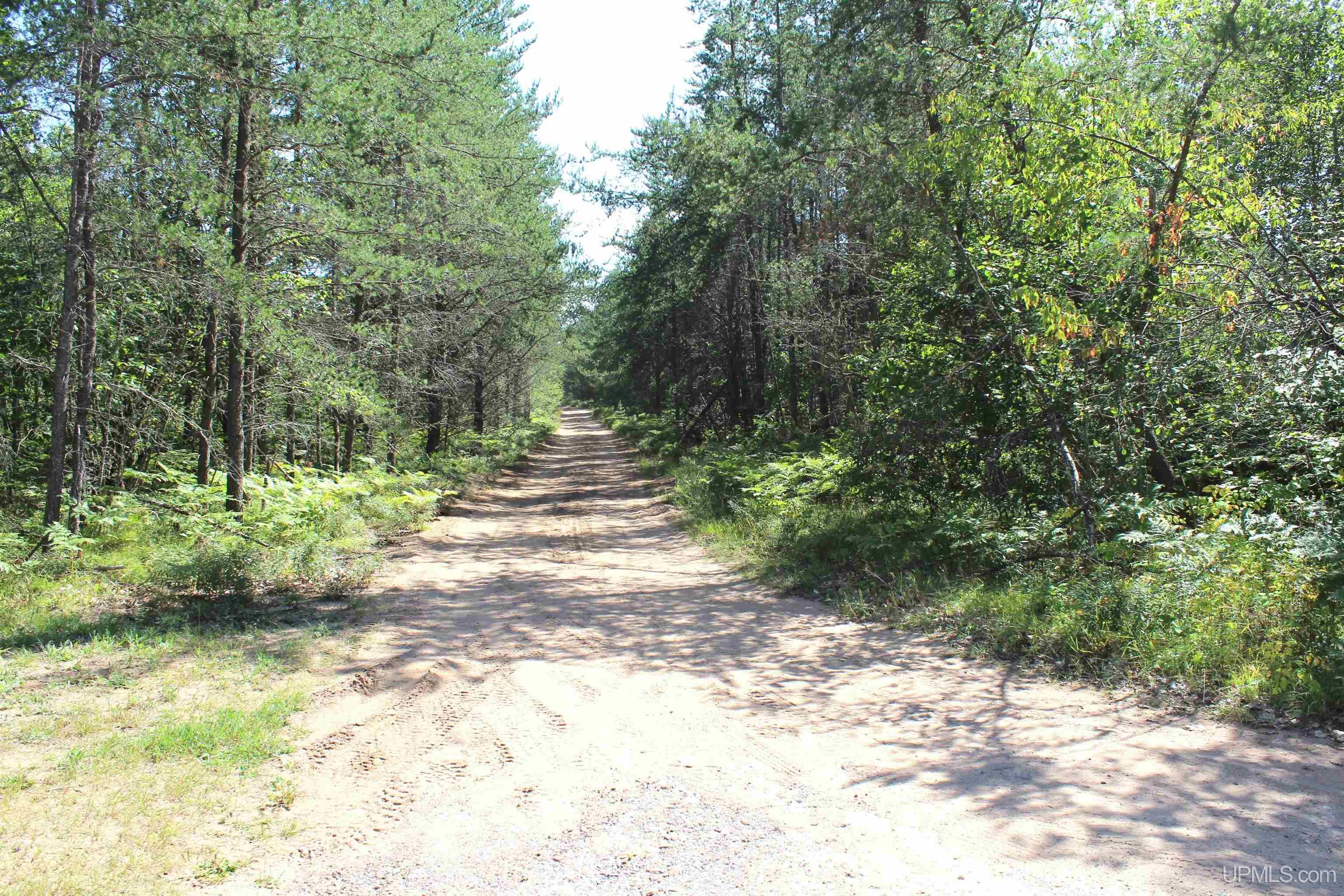 On South Bertrand Lake Road Gwinn, MI 49841 - Photo 20 of 20