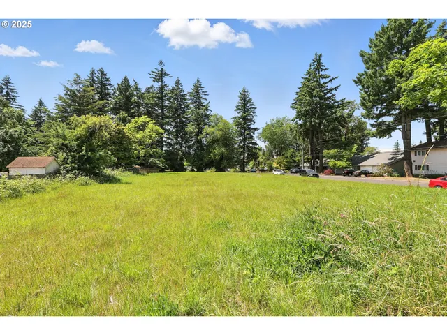 a view of a field of grass and trees