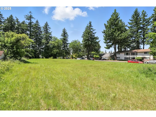 a view of backyard with green space