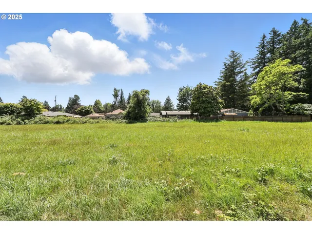 a view of yard with swimming pool and trees