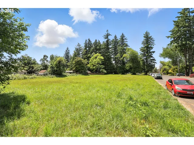 a view of a yard with a house in the background