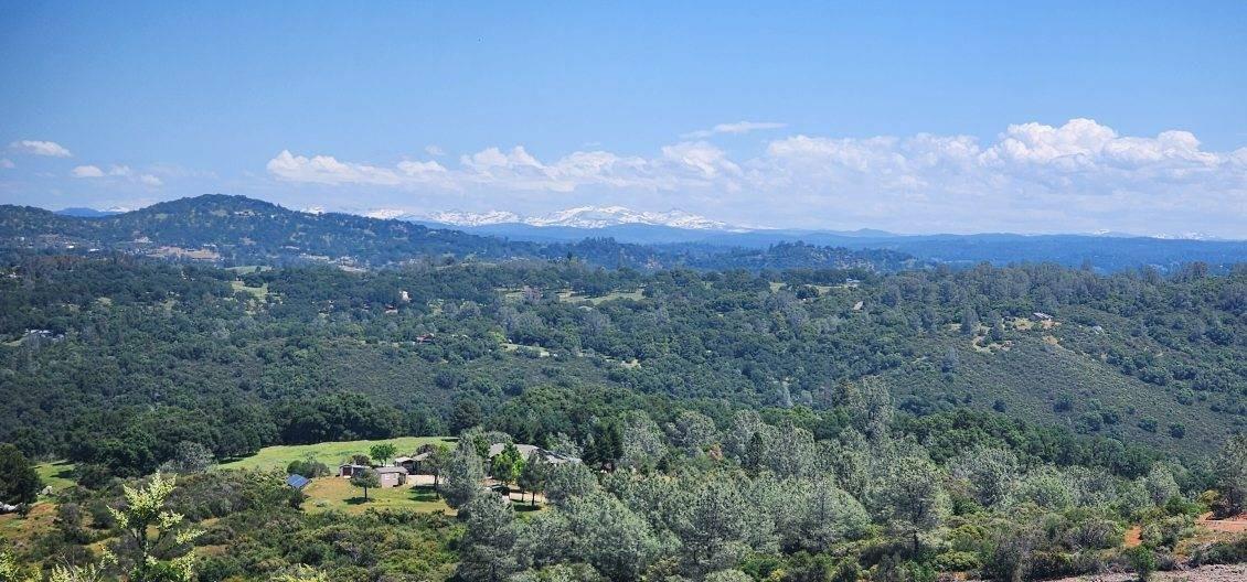 1000 Jurgens Road Rescue, CA 95672 - Photo 23 of 23 a view of a lot of trees in the distance