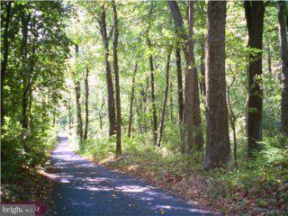 0 Funks Mill Road Riegelsville, PA 18077 - Photo 1 of 6