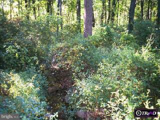 0 Funks Mill Road Riegelsville, PA 18077 - Photo 4 of 6