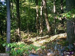 0 Funks Mill Road Riegelsville, PA 18077 - Photo 5 of 6