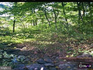0 Funks Mill Road Riegelsville, PA 18077 - Photo 6 of 6