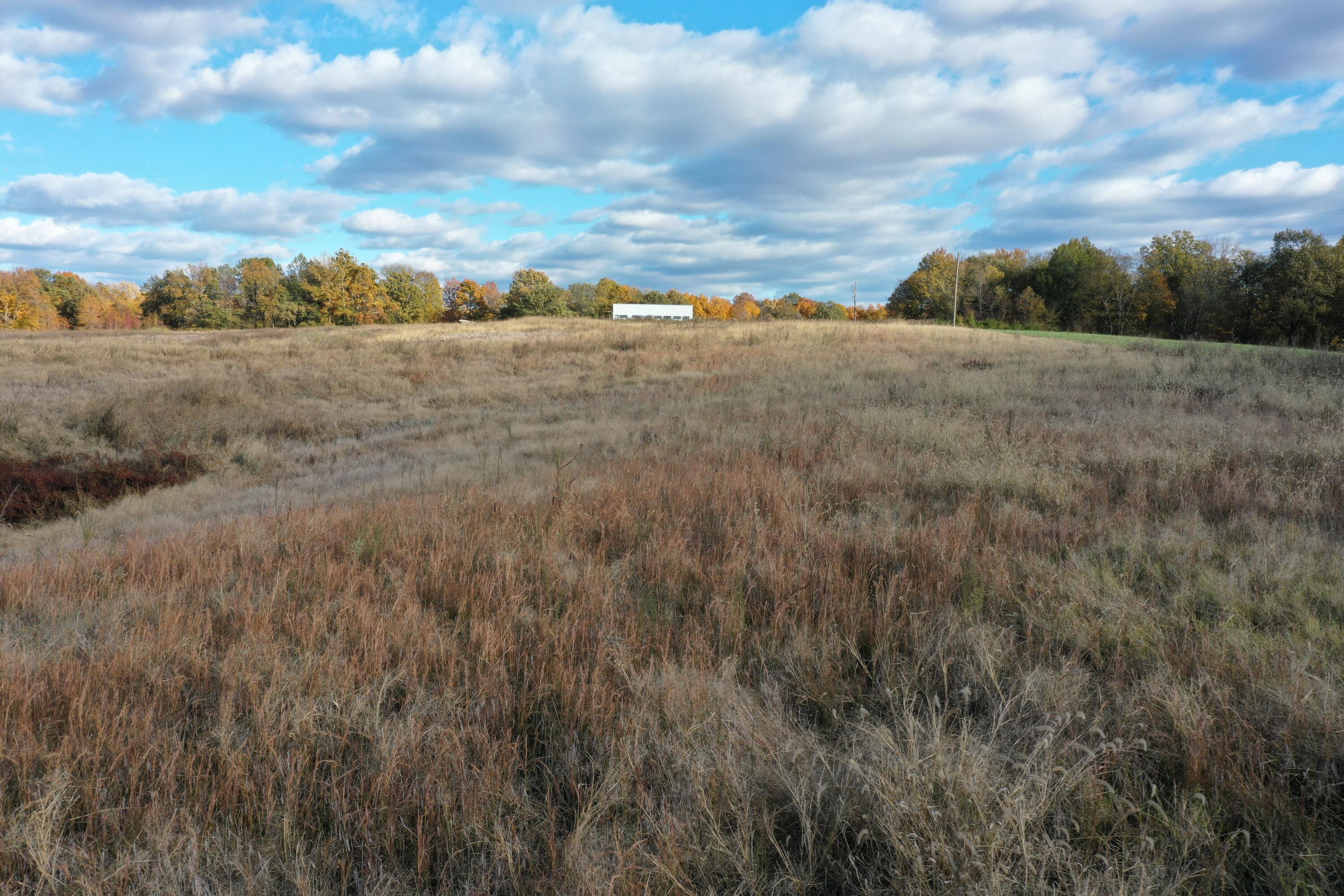 0 Grubbs Road Clinton, KY 42031 - Photo 15 of 15 DJI_0065