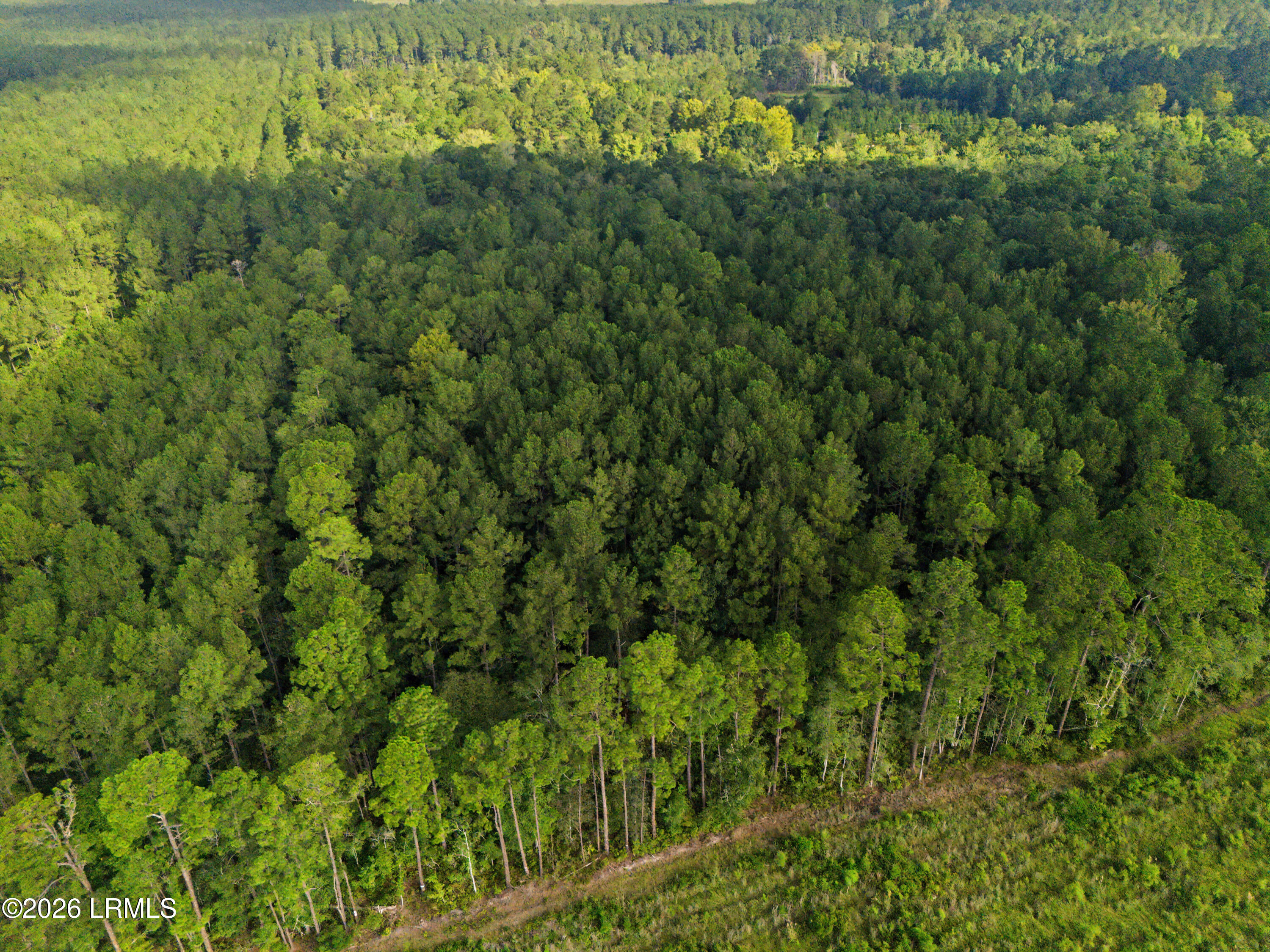 0 Tree Farm Road Walterboro, SC 29488 - Photo 10 of 30 DJI_20260921220112_0311_D