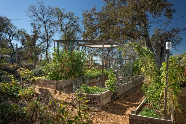 a view of outdoor space yard and patio