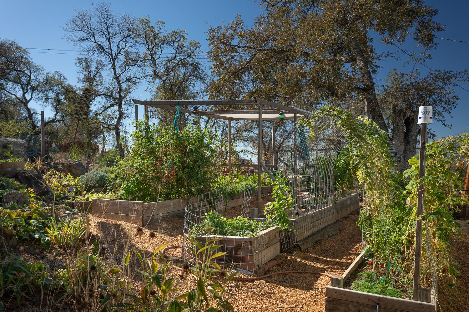 135 Sunny Hills Bangor, CA 95901 - Photo 20 of 35 a view of outdoor space and yard