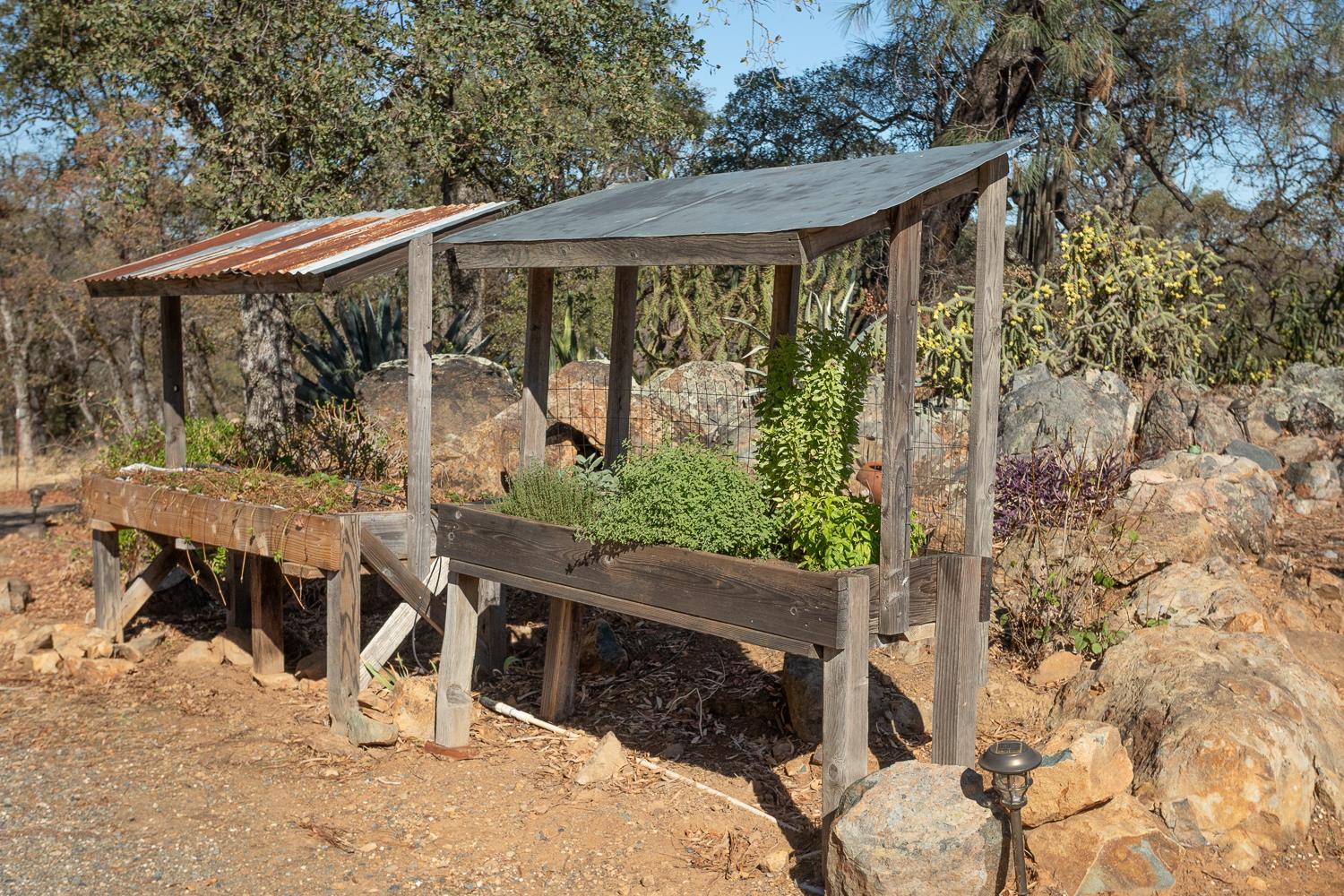 135 Sunny Hills Bangor, CA 95901 - Photo 21 of 35 a view of outdoor space yard and patio