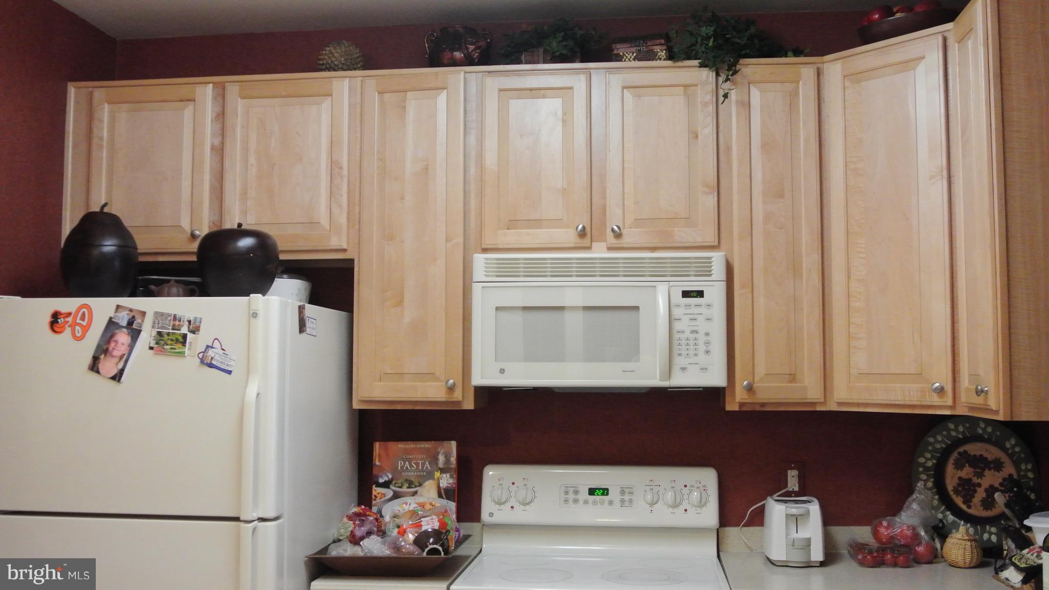 7305 Maplecrest Road, Unit 204 Elkridge, MD 21075 - Photo 11 of 30 Kitchen