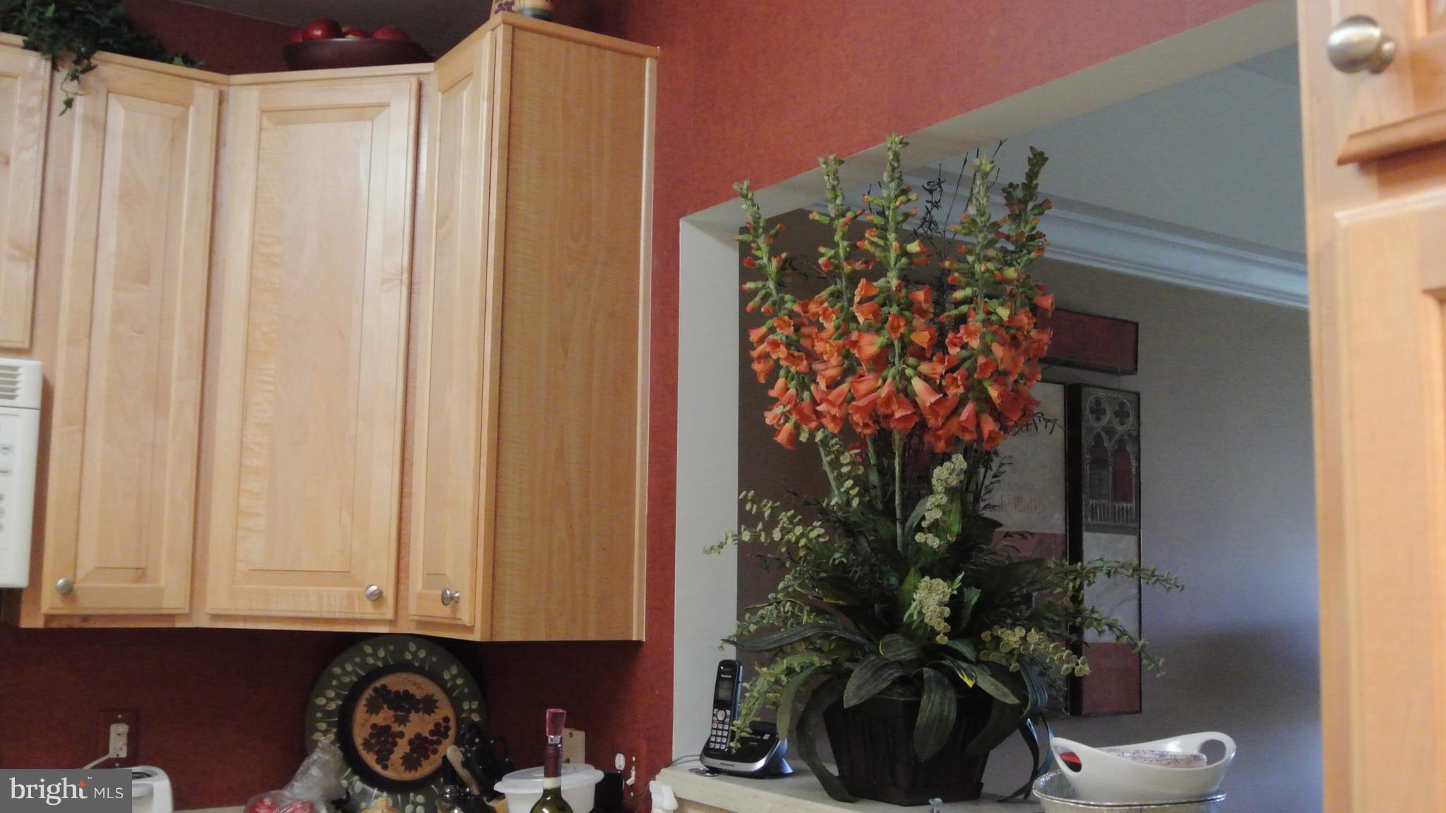 7305 Maplecrest Road, Unit 204 Elkridge, MD 21075 - Photo 12 of 30 Kitchen