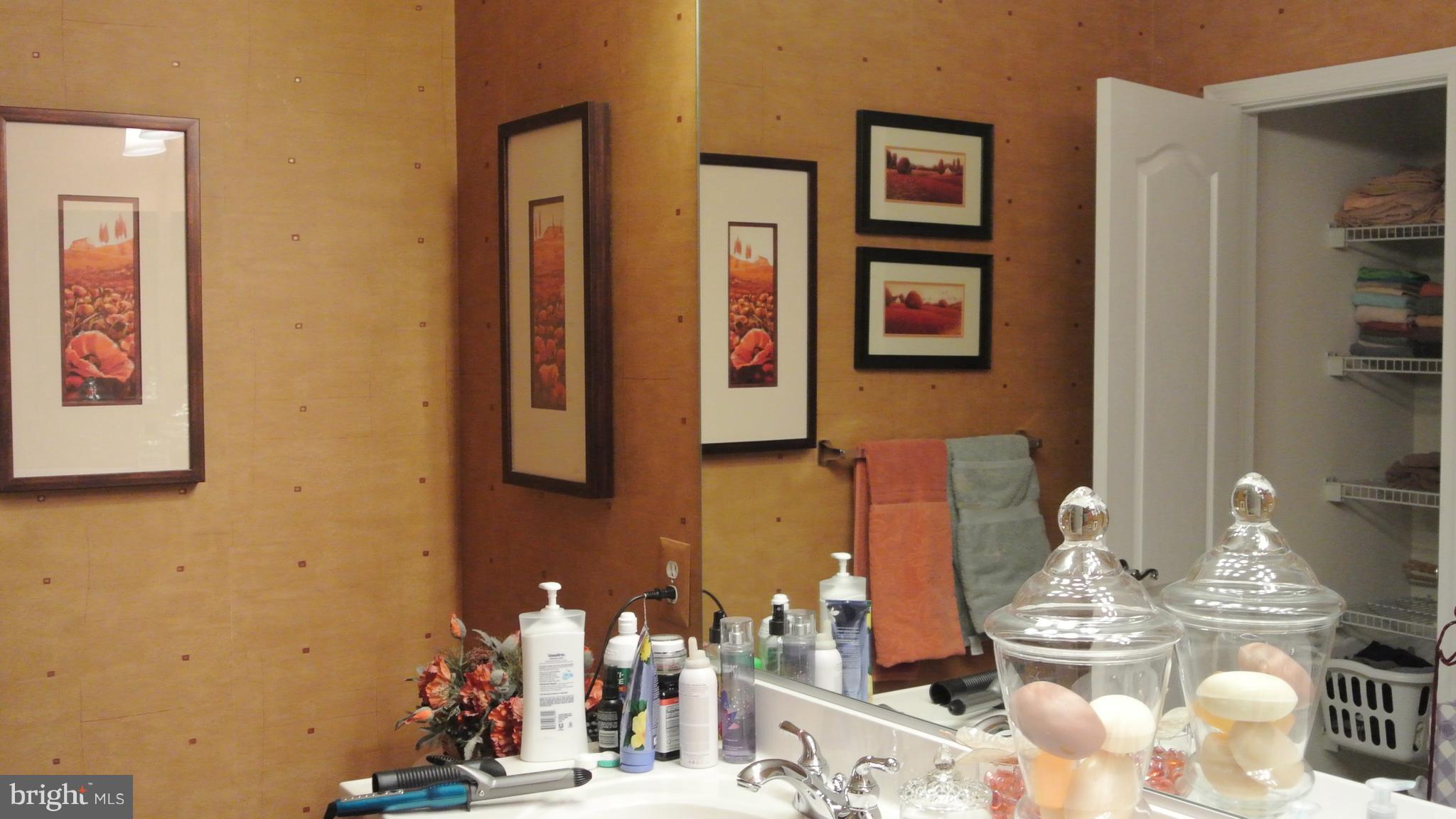 7305 Maplecrest Road, Unit 204 Elkridge, MD 21075 - Photo 23 of 30 Bath (Master)