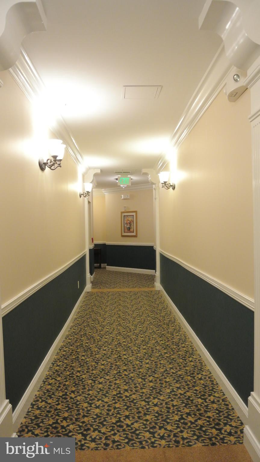 7305 Maplecrest Road, Unit 204 Elkridge, MD 21075 - Photo 10 of 30 Hallway