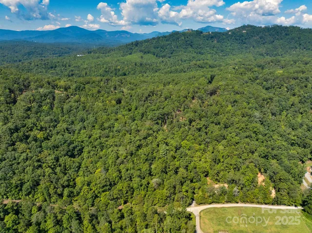 a view of yard with green space