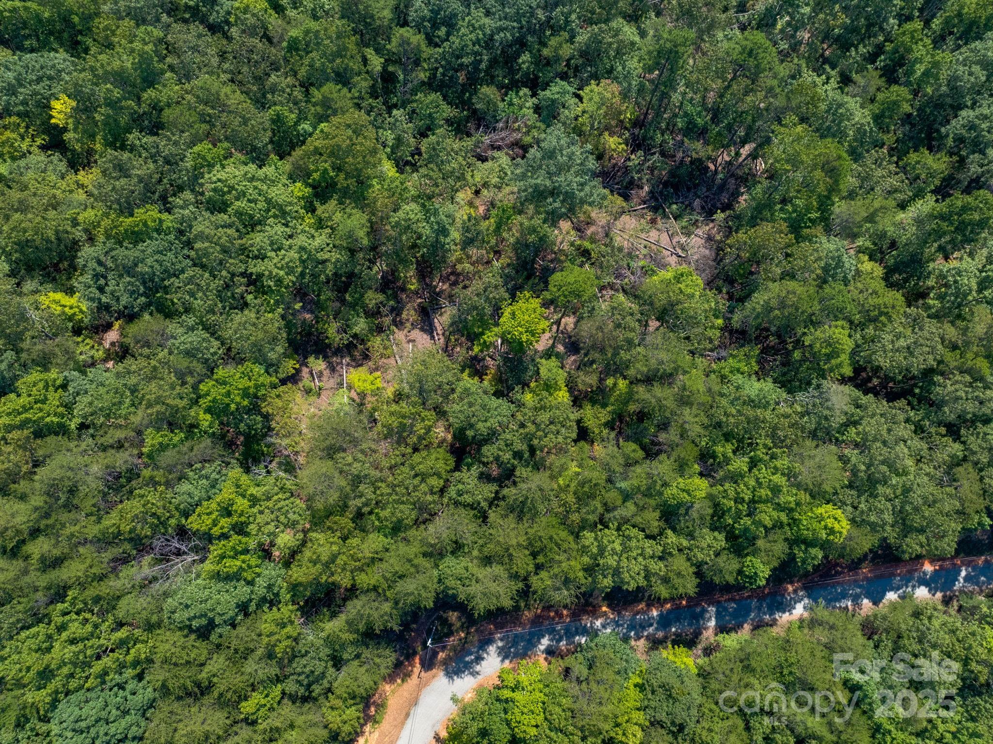0 Calhoun Trail Rutherfordton, NC 28139 - Photo 11 of 20 an aerial view of a house with a lush green forest