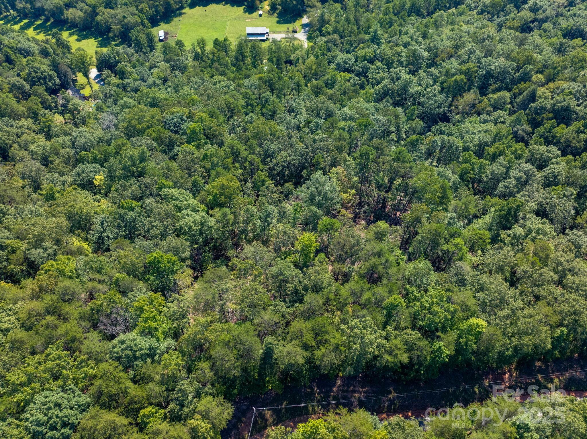 0 Calhoun Trail Rutherfordton, NC 28139 - Photo 12 of 20 an aerial view of a house with a yard