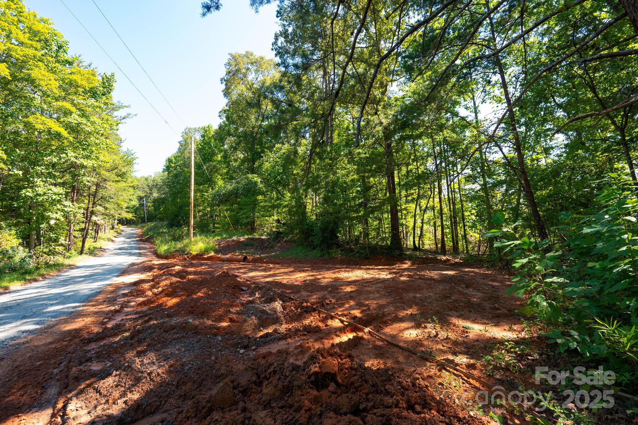0 Calhoun Trail Rutherfordton, NC 28139 - Photo 17 of 20 a backyard of a house with lots of green space