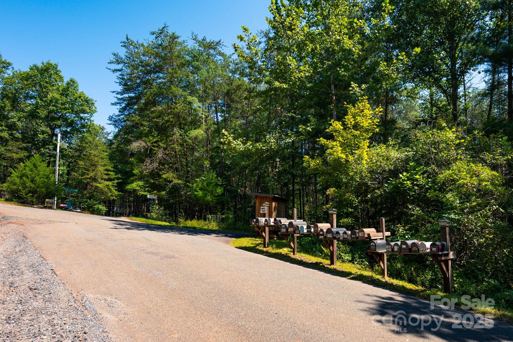 0 Calhoun Trail Rutherfordton, NC 28139 - Photo 18 of 20 a view of outdoor space and yard