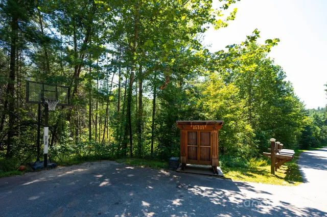 a view of backyard with a barn and a large cactus tree