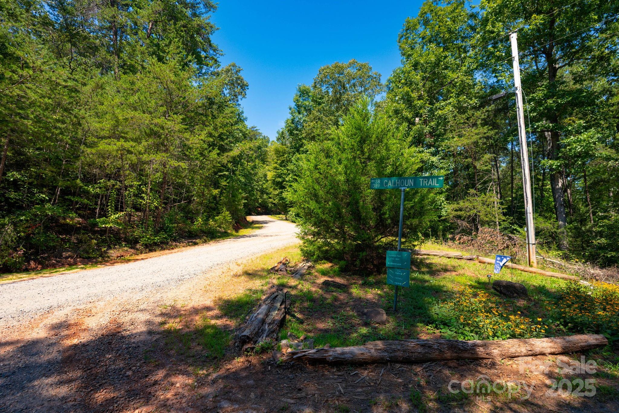 0 Calhoun Trail Rutherfordton, NC 28139 - Photo 20 of 20 a view of a yard with plants and large trees