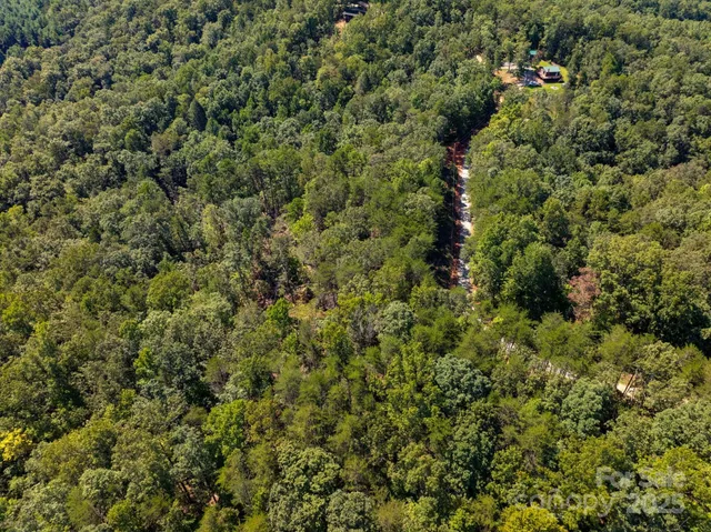 a view of a house with a lush green forest