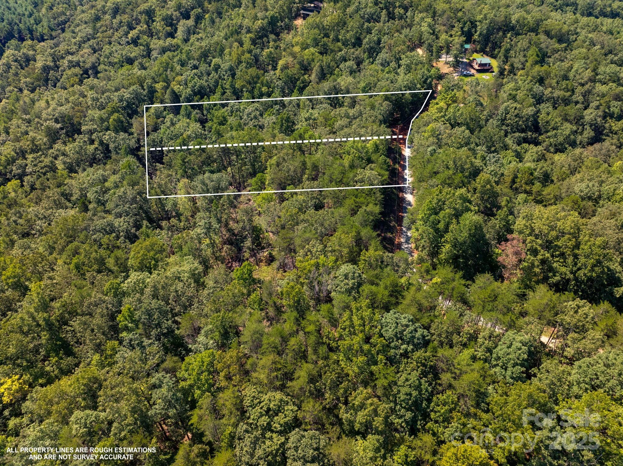 0 Calhoun Trail Rutherfordton, NC 28139 - Photo 6 of 20 a view of a yard