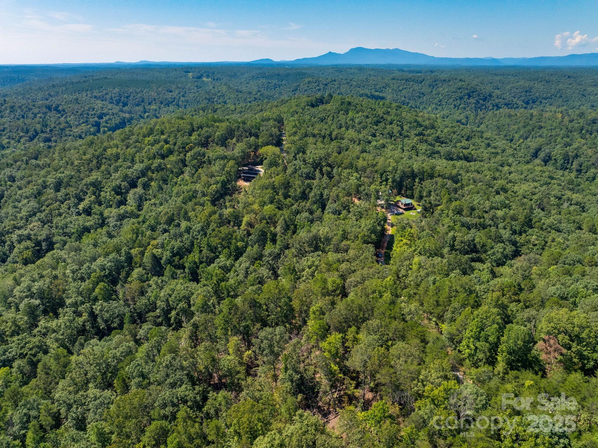 0 Calhoun Trail Rutherfordton, NC 28139 - Photo 7 of 20 a view of a lush green forest with trees in the background