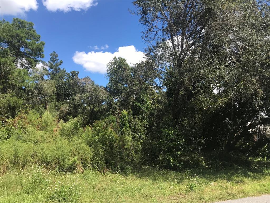 0 Southwest 139th St Road Ocala, FL 34473 - Photo 1 of 1